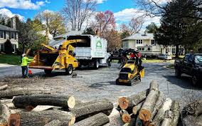 Best Tree Trimming and Pruning  in Cache, OK